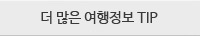 �� ���� �������� TIP